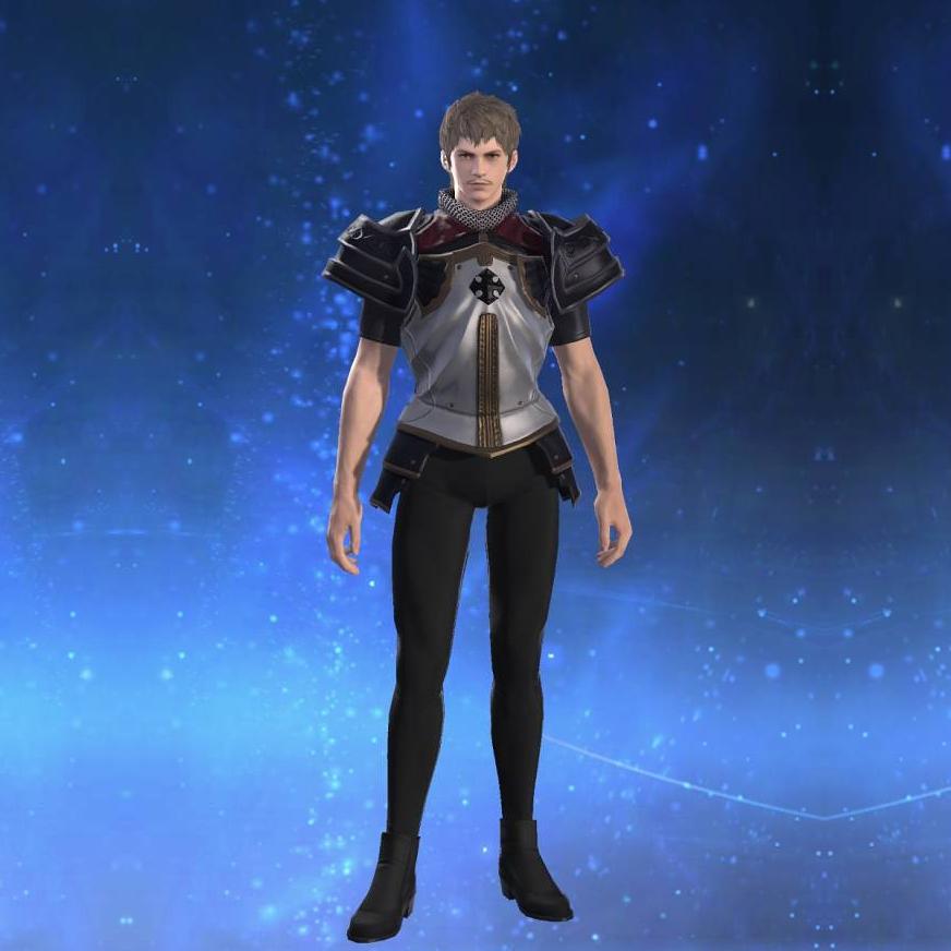 Ornate Heavy Metal Cuirass of Fending's gearset image male.