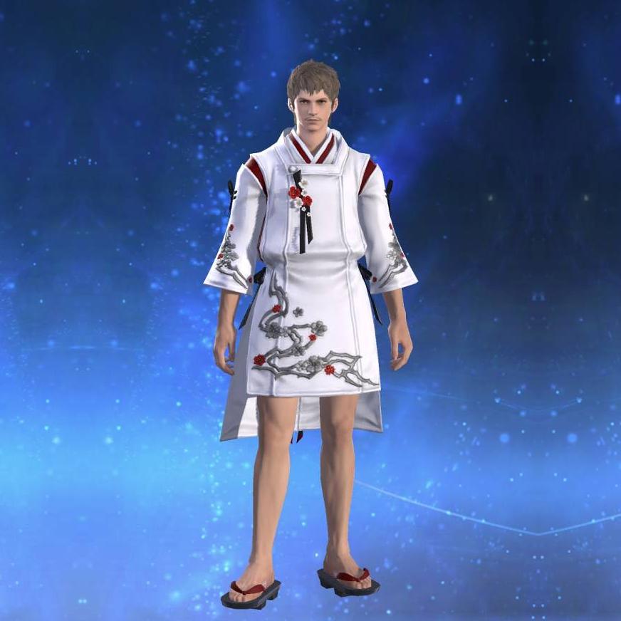 Lord's Suikan's gearset image.
