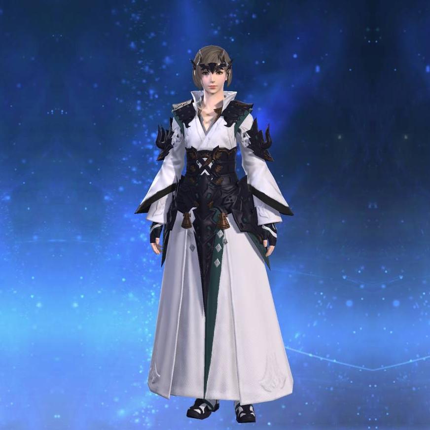 Asuran Dogi of Healing's gearset image female.