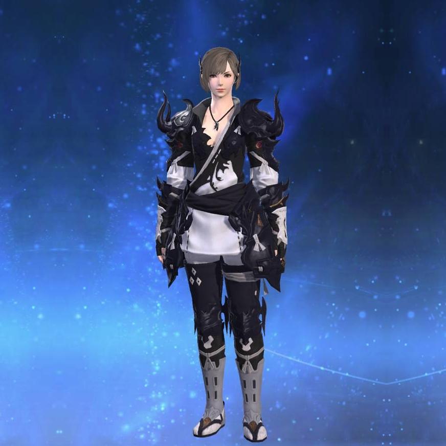 阿修羅装束【拳士】's gearset image female.