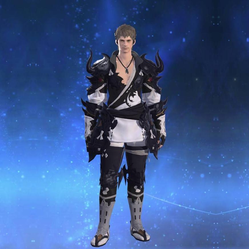 阿修羅装束【拳士】's gearset image male.