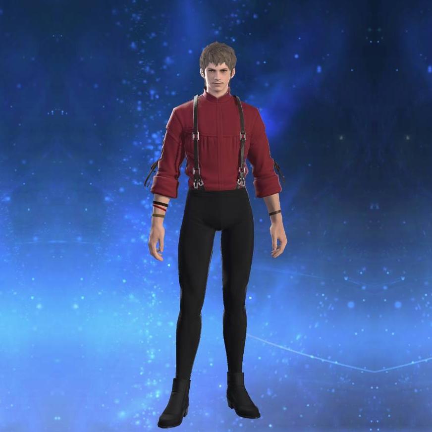 アネモスサスペンダーシャツ's gearset image male.