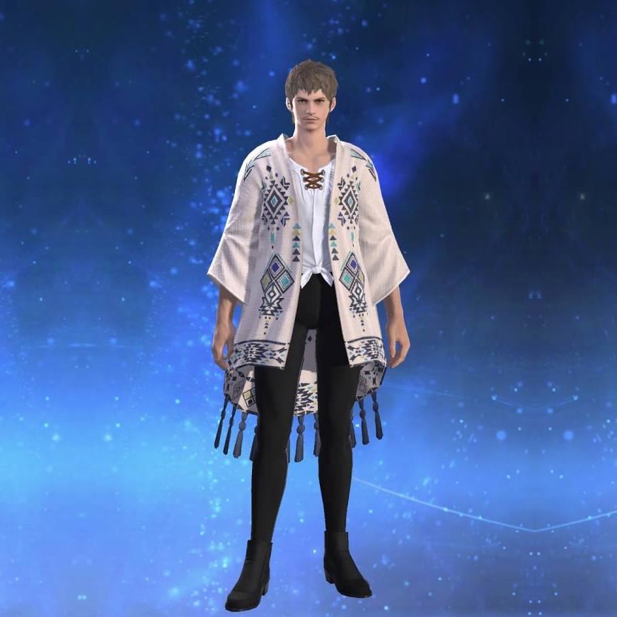 アラミガンガウン's gearset image male.