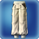' . $item_name . '