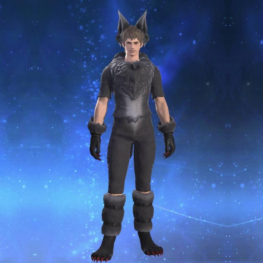 Werewolf Body's gearset image.