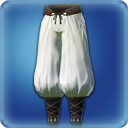 ' . $item_name . '