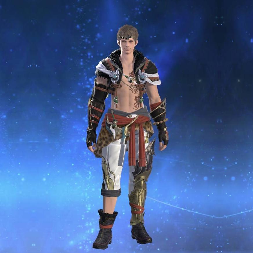 Anemos Pacifist's Vest's gearset image male.