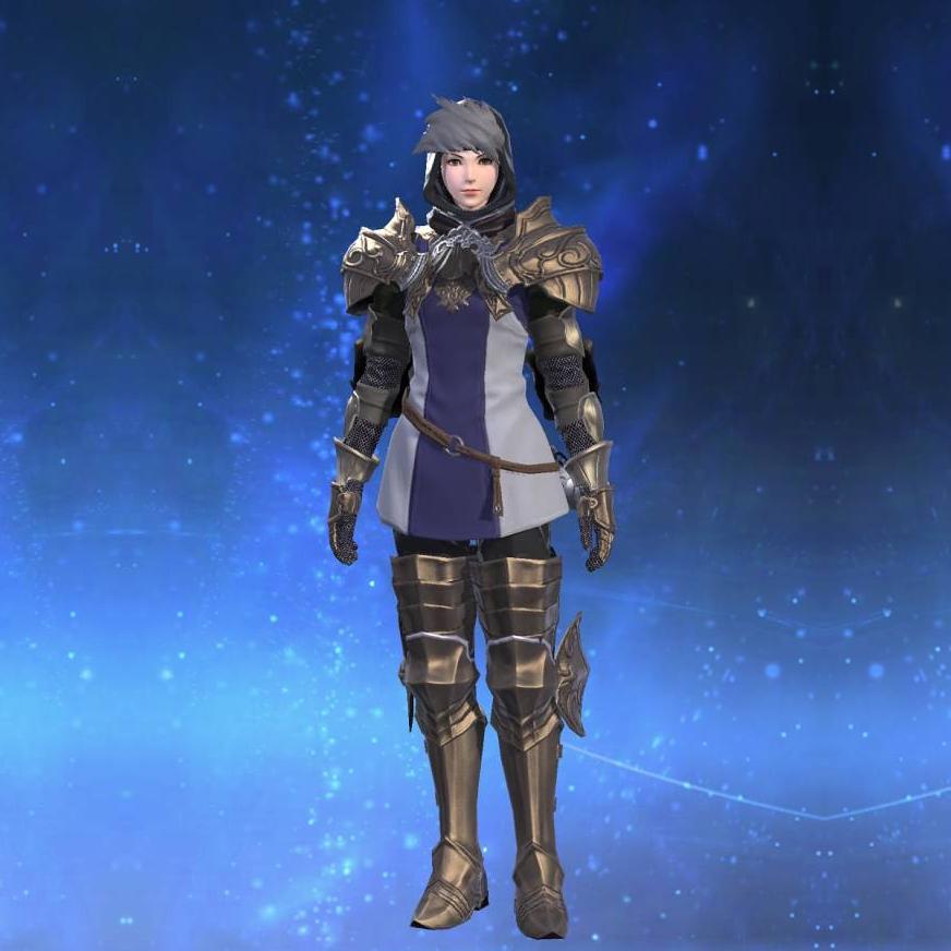 Farlander Surcoat of Striking's gearset image female.