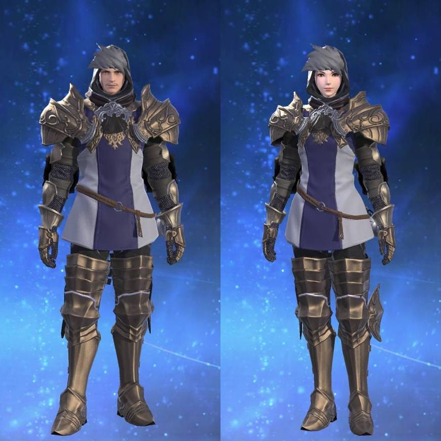 Farlander Surcoat of Striking's gearset image.