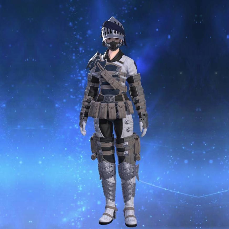 Royal Volunteer's Gambison of Fending's gearset image female.