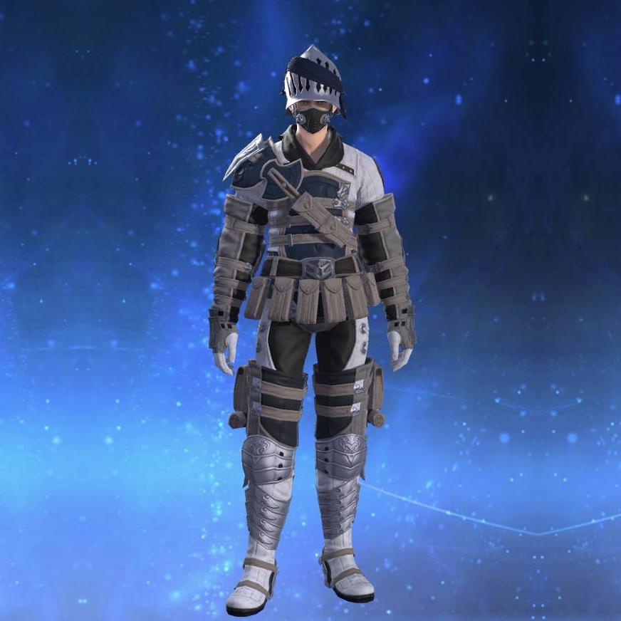 Royal Volunteer's Gambison of Fending's gearset image male.