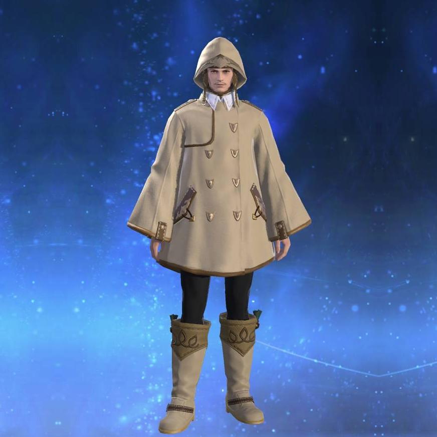 レインコート's gearset image male.
