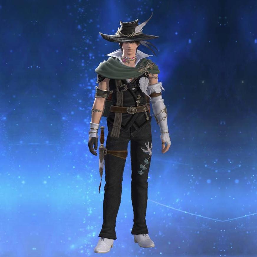 アイディアル・フィリアタイア's gearset image male.