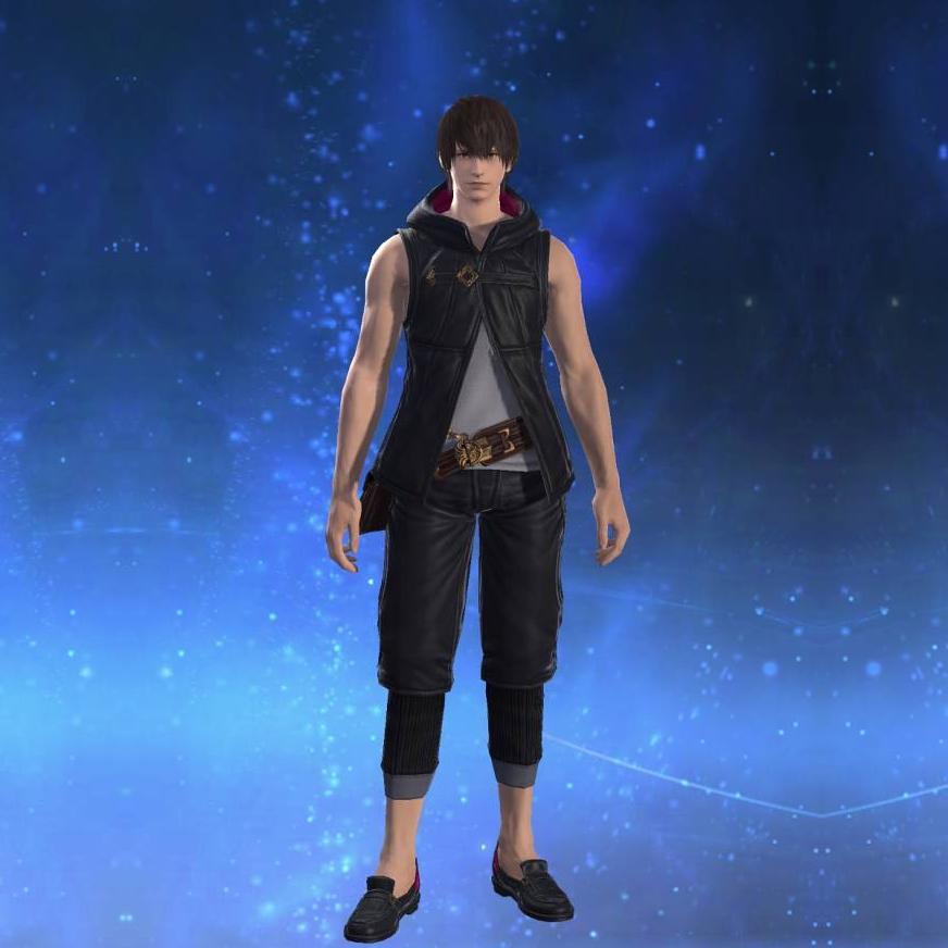 Adventurer's Hooded Vest's gearset image male.