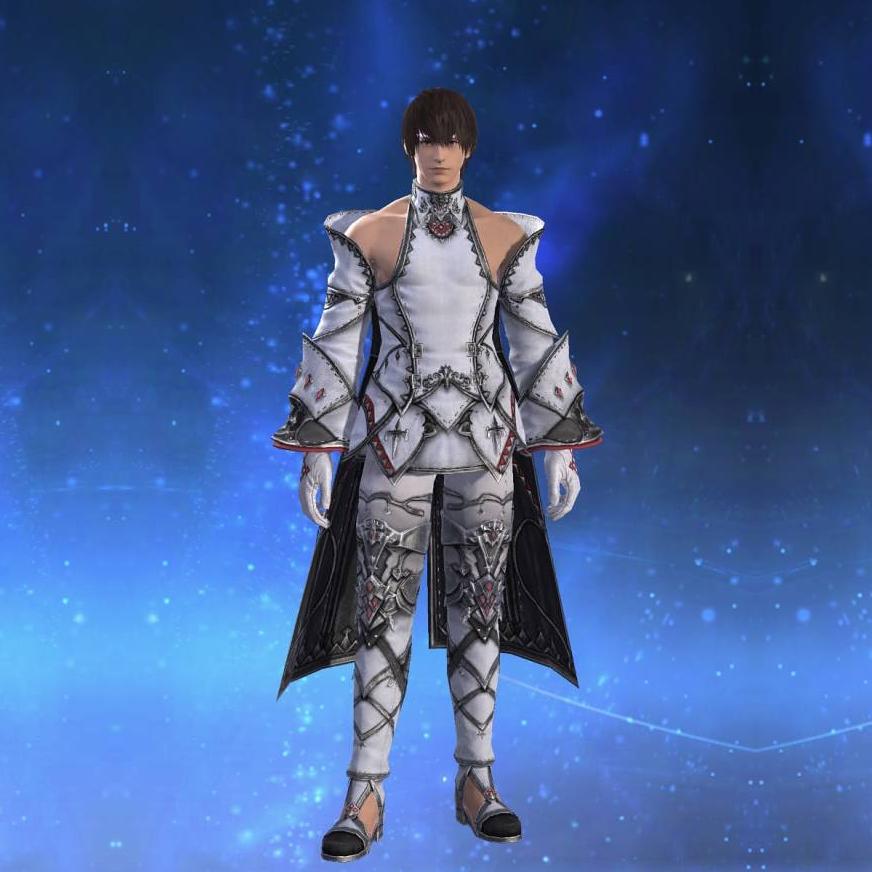 エクサーク・ヒーラーアタイアRE's gearset image male.