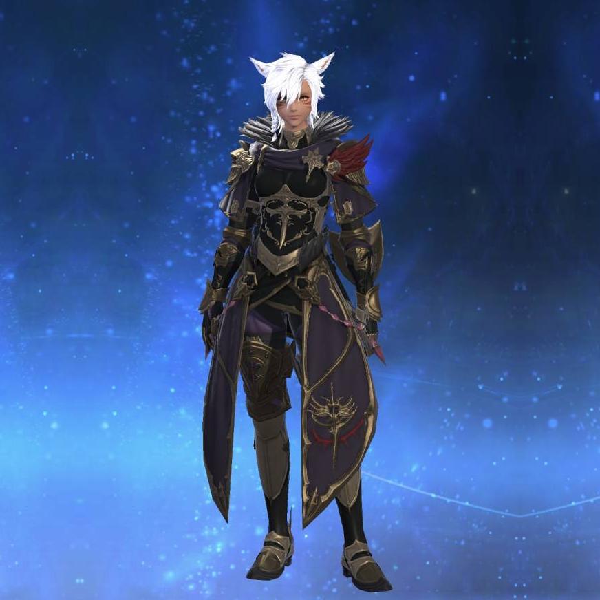 Edengrace Mail of Aiming's gearset image female model.