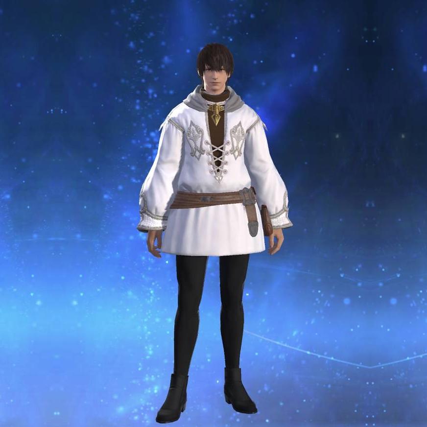 オルタード・コットンダルマティカ's gearset image male.
