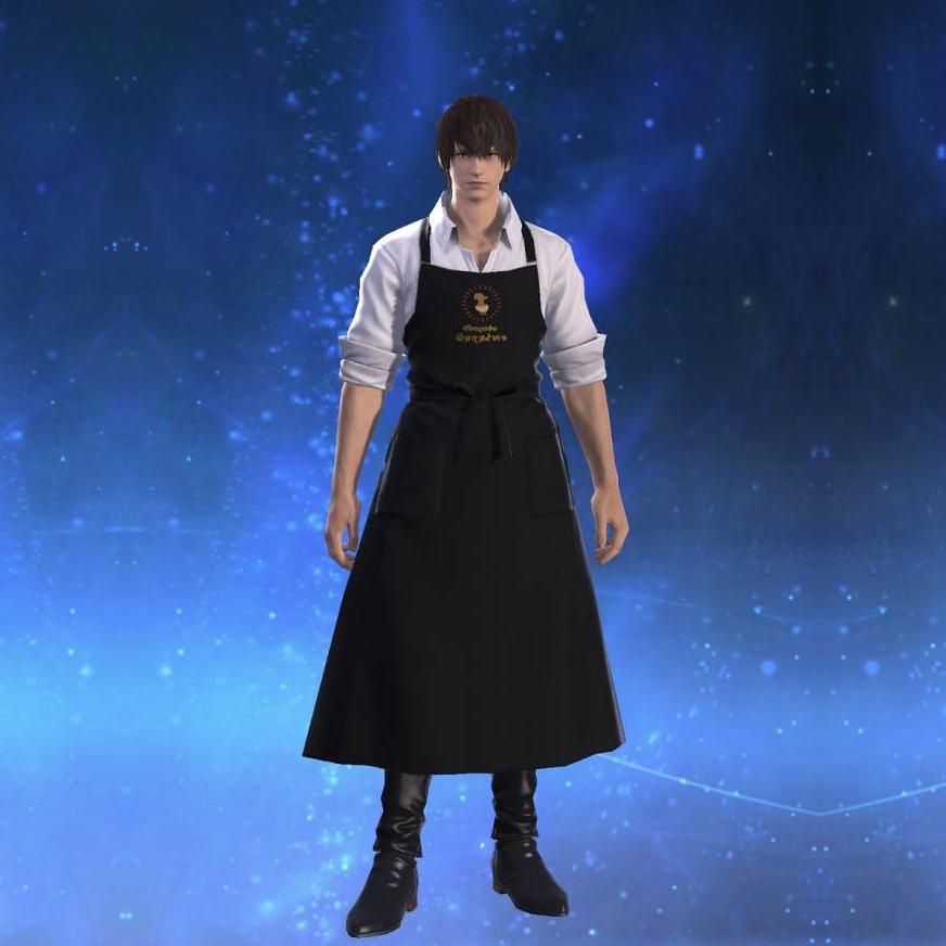 Craftsman's Apron's gearset image male.