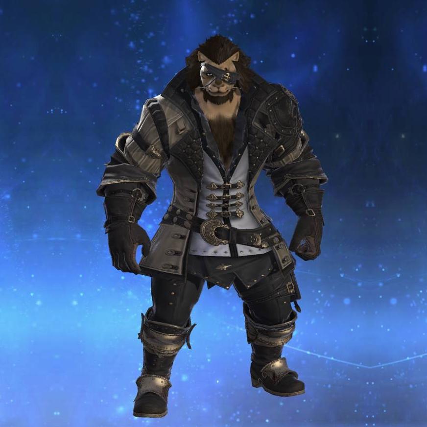 クリスタリウム・レンジャーアタイアRE's gearset image male model.