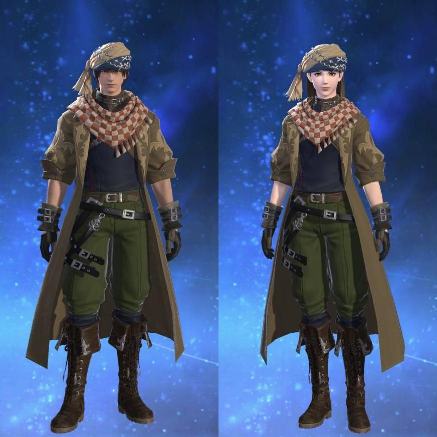 Swallowskin Coat's gearset image.