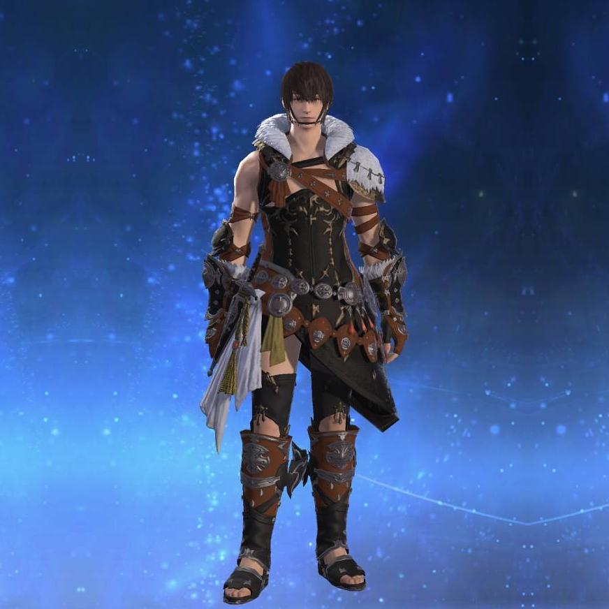 Zonureskin Coat of Fending's gearset image male.
