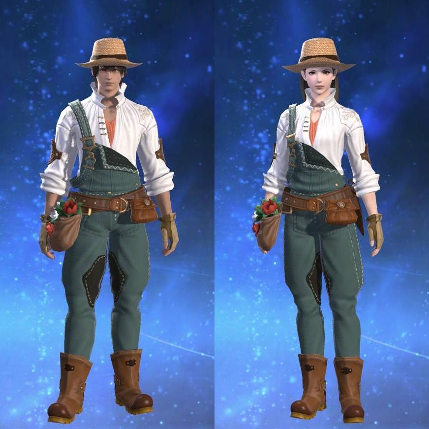 フィールドフィーンドアタイア's gearset image.