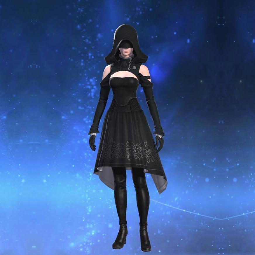 ヨルハ五一式装束：射's gearset image female model.
