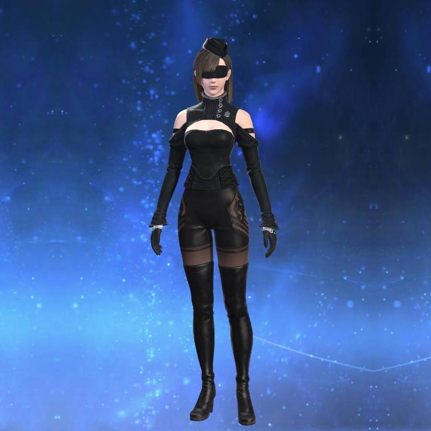 ヨルハ五一式装束：格's gearset image female.