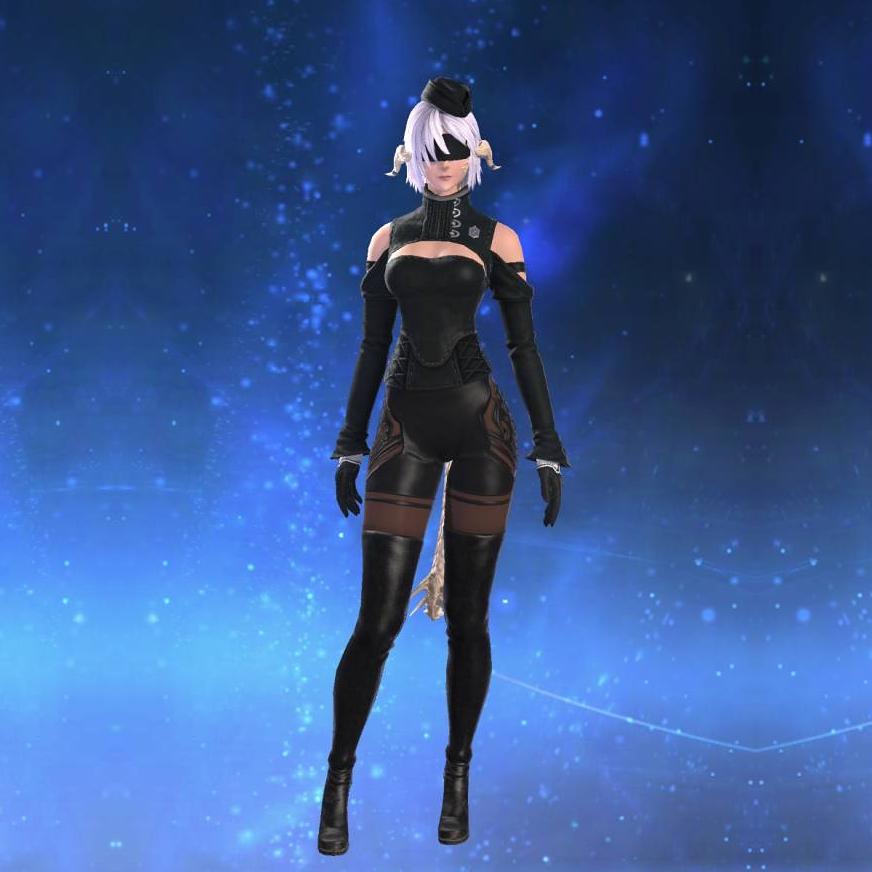 ヨルハ五一式装束：格's gearset image female model.