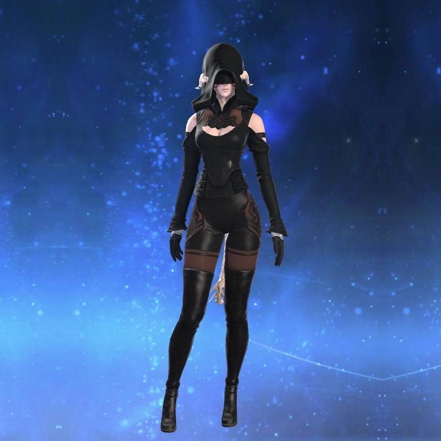 ヨルハ五一式装束：軽's gearset image female model.
