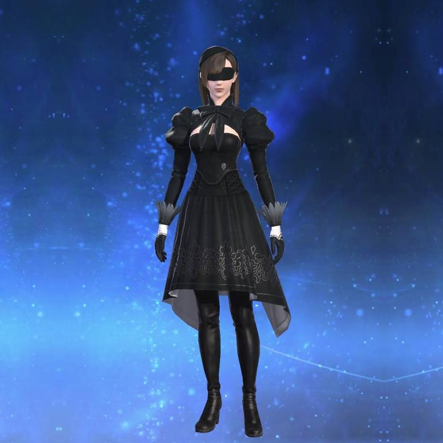 ヨルハ五一式装束：重's gearset image female.