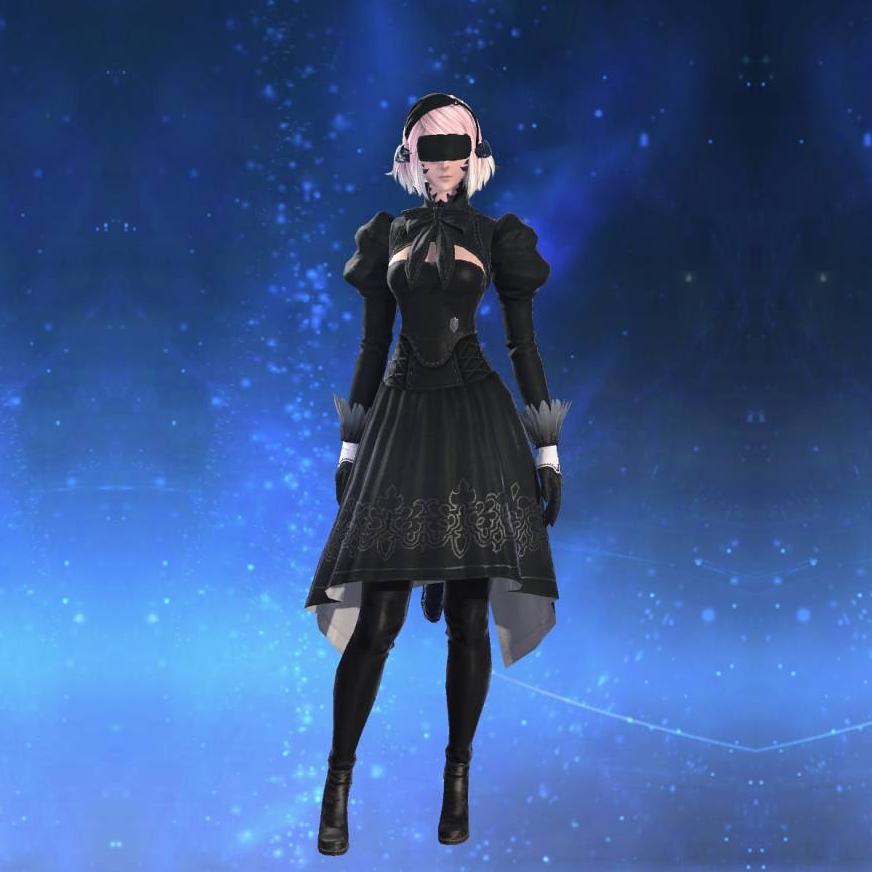 ヨルハ五一式装束：重's gearset image female model.