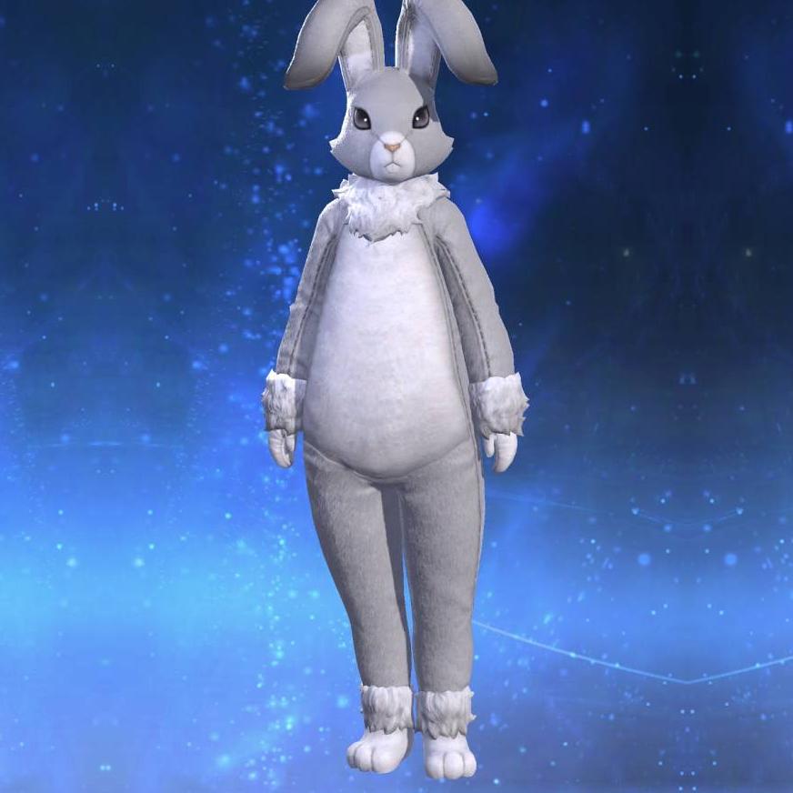 Rabbit Suit's gearset image female.