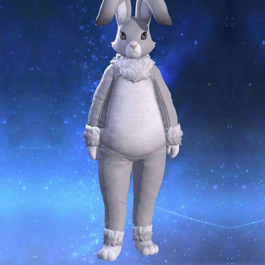 Rabbit Suit's gearset image male.