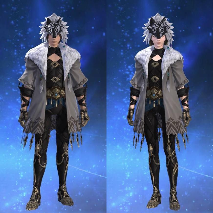 Warg Jacket of Healing's gearset image.