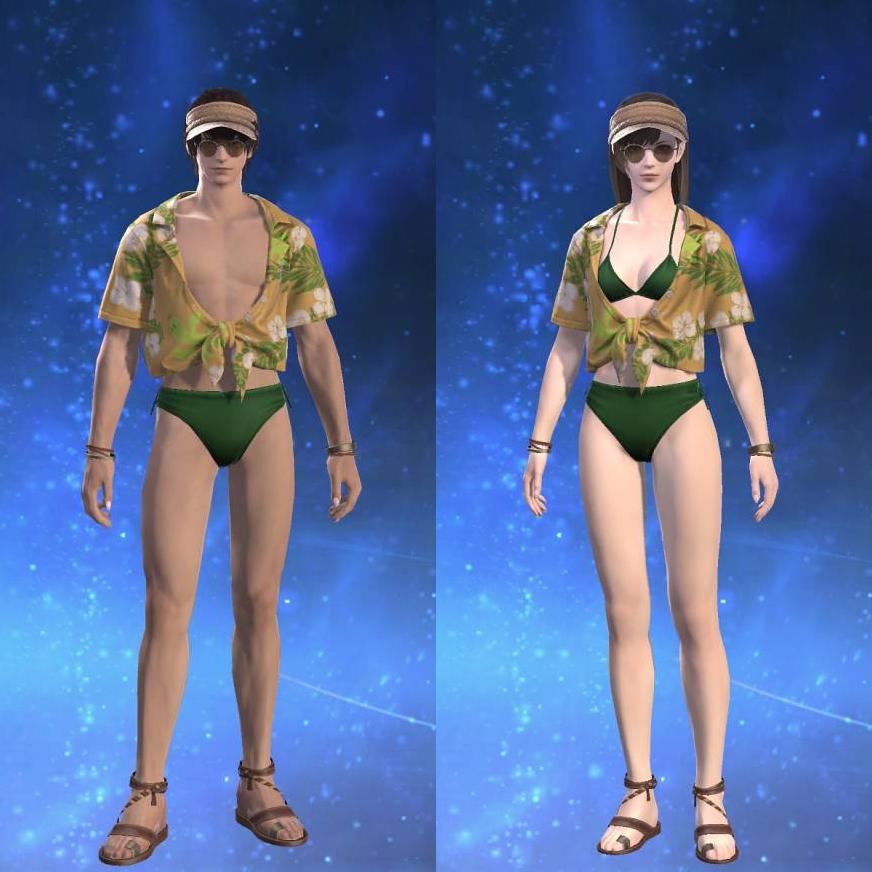 Isle Vacationer's Tie-front Shirt's gearset image.