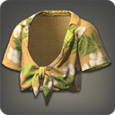 ' . $item_name . '