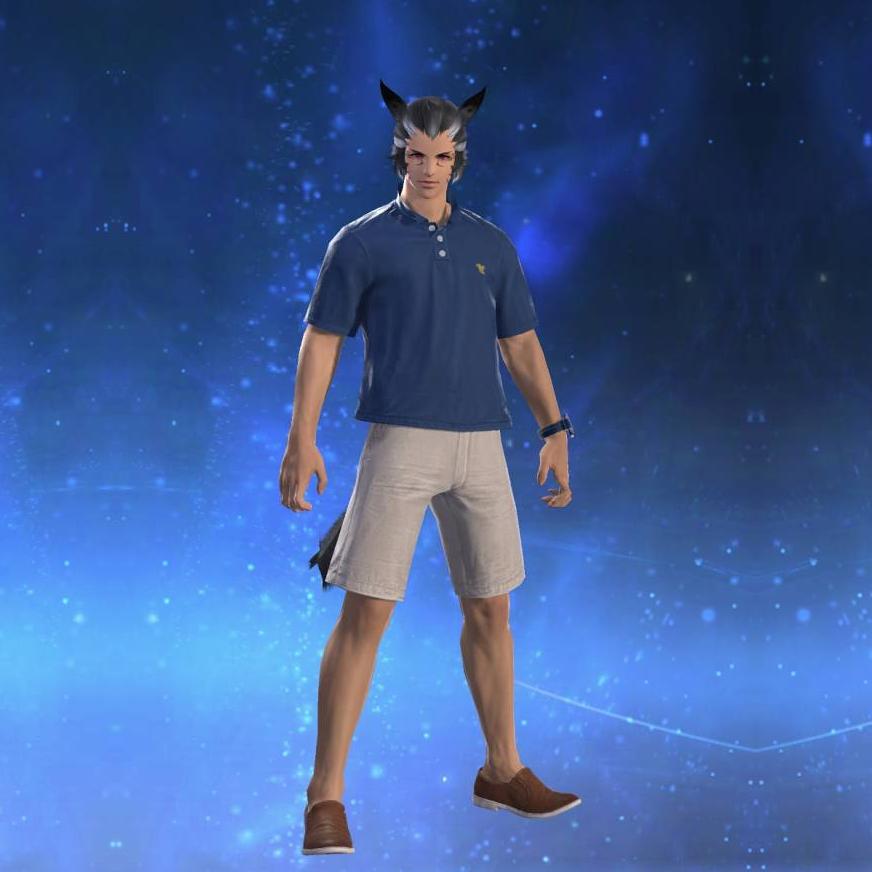 Recreationisle Shirt's gearset image male model.