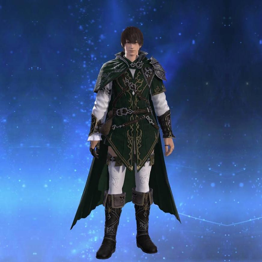 Woodland Warden's Top's gearset image male.