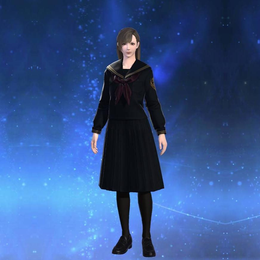 エデュカント・セーラートップス's gearset image female.