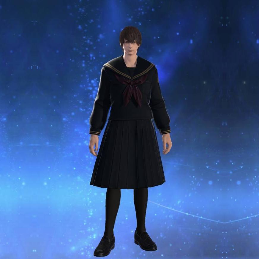 エデュカント・セーラートップス's gearset image male.