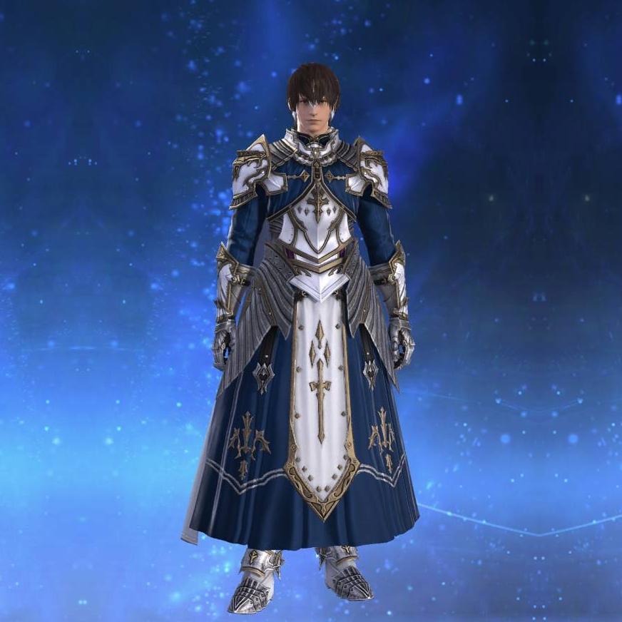 クレデンダム・ヒーラーアタイアRE's gearset image male.