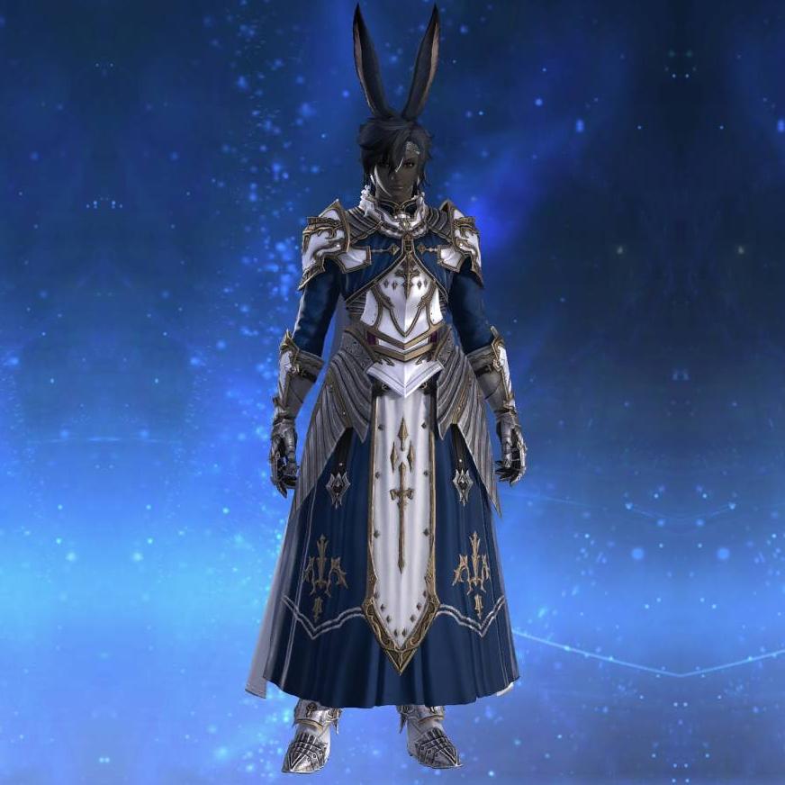 クレデンダム・ヒーラーアタイアRE's gearset image male model.