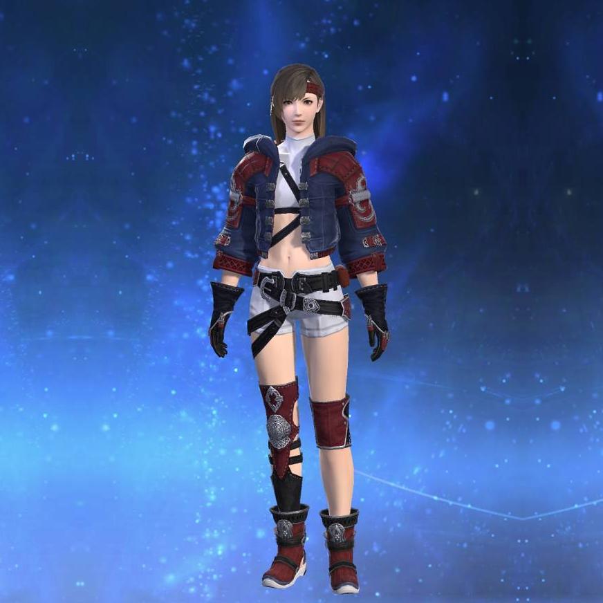 Augmented Diadochos Jacket of Scouting's gearset image female.