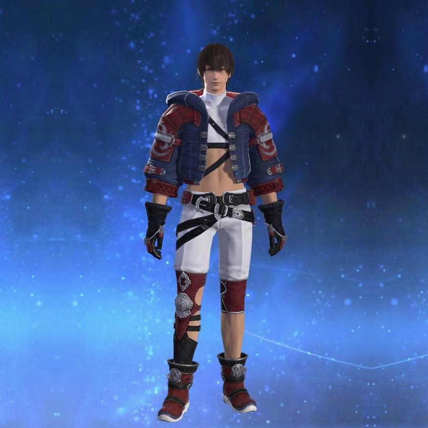 Augmented Diadochos Jacket of Scouting's gearset image male.