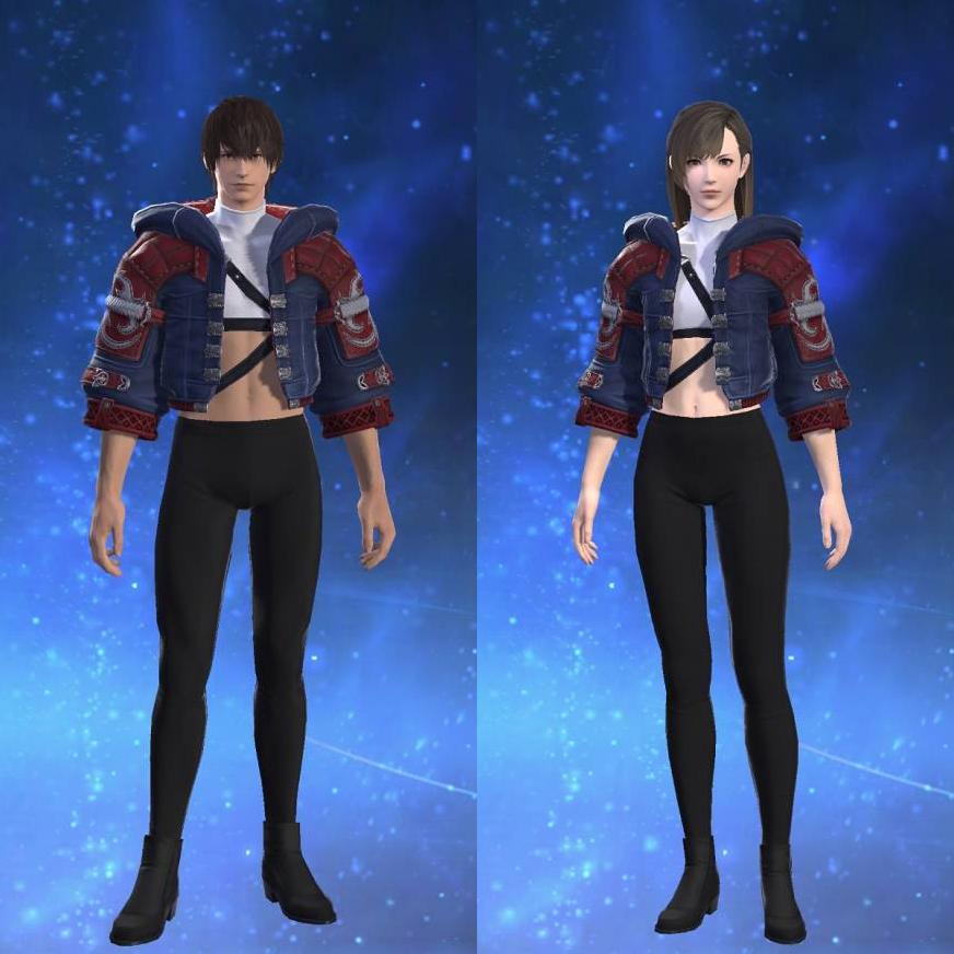 Ornate Diadochos Jacket of Scouting's gearset image.