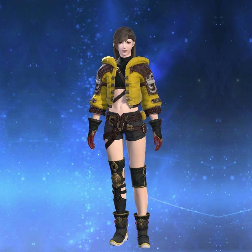 Augmented Diadochos Jacket of Striking's gearset image female.