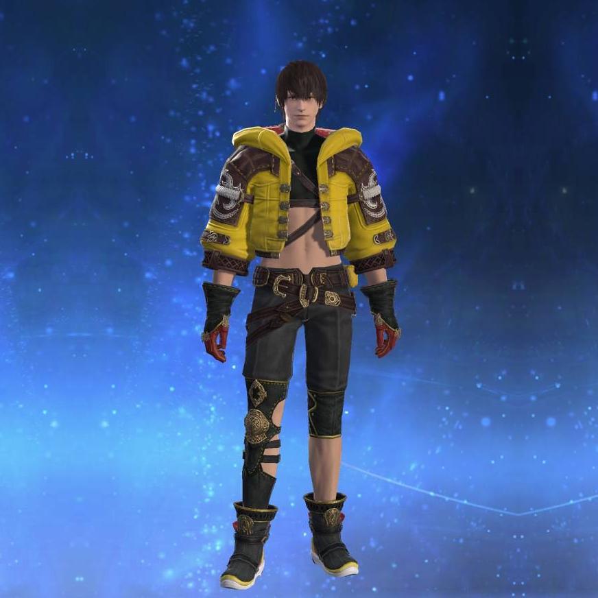 Augmented Diadochos Jacket of Striking's gearset image male.