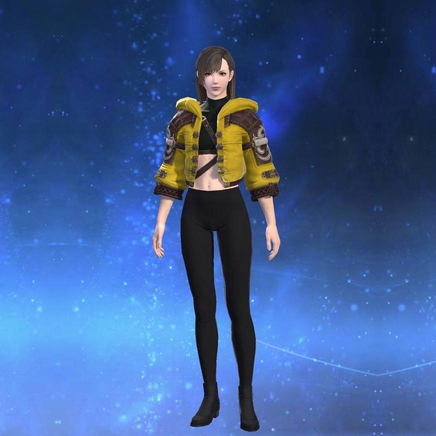 Ornate Diadochos Jacket of Striking's gearset image female.