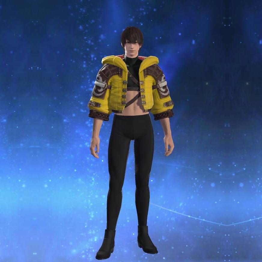 Ornate Diadochos Jacket of Striking's gearset image male.